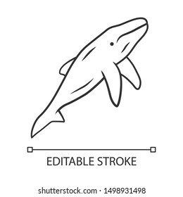 Whale linear icon. Marine mammal. Ocean predator. Aquatic animal, wildlife nature. Zoology and oceanography. Thin line illustration. Contour symbol. Vector isolated outline drawing. Editable stroke