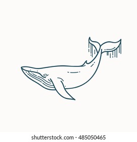 Whale linear illustration. Flat line vector design element isolated on white