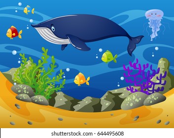 Whale and little fish under the sea illustration