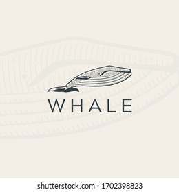 Whale  logo design Premium Vector