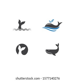 Whale logo illustration vector flat design