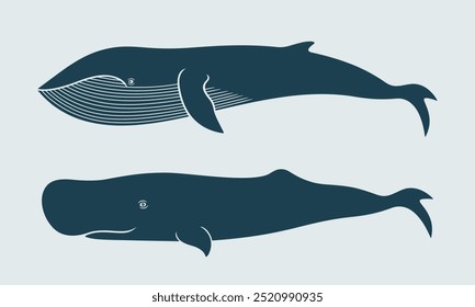 Whale logo. Isolated whale on blue  background