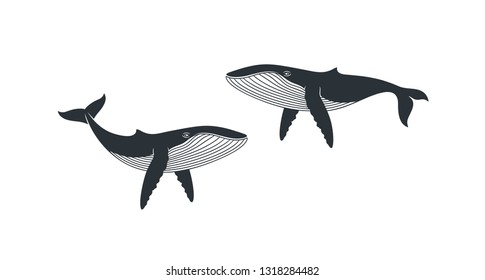 Whale logo. Isolated whale on white background

