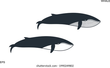 Whale logo. Isolated whale on white background