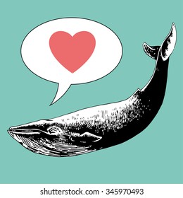 Whale in love vector illustration