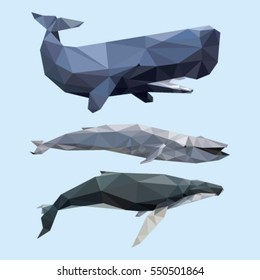 WHALE LOW POLY POLYGONAL GEOMETRIC 