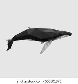 WHALE LOW POLY POLYGONAL GEOMETRIC 