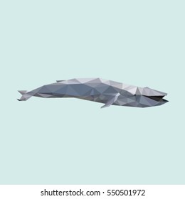 WHALE LOW POLY POLYGONAL GEOMETRIC 