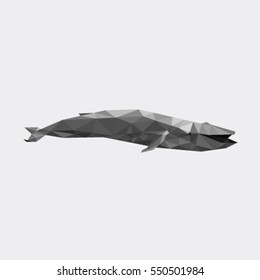WHALE LOW POLY POLYGONAL GEOMETRIC 