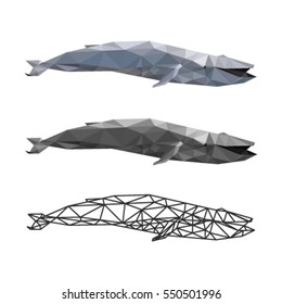 WHALE LOW POLY POLYGONAL GEOMETRIC 