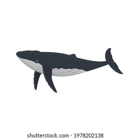 Whale. Marine animal, vector illustration