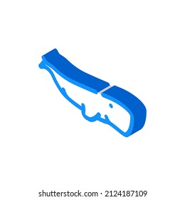 whale marine mammal animal isometric icon vector. whale marine mammal animal sign. isolated symbol illustration