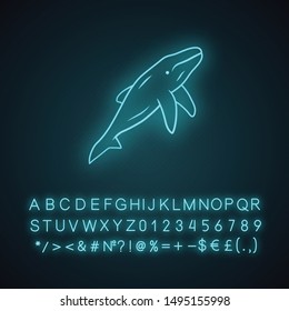 Whale neon light icon. Underwater inhabitant. Ocean predator. Aquatic animal, wildlife nature. Zoology and oceanography. Glowing sign with alphabet, numbers and symbols. Vector isolated illustration