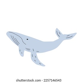 Whale, ocean aniaml. Sealife in Scandinavian style on a white background. Great for poster, card, apparel print. Vector illustration