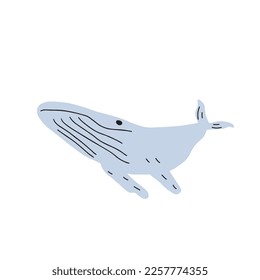 Whale, ocean aniaml. Sealife in Scandinavian style on a white background. Great for poster, card, apparel print. Vector illustration