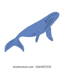 Whale, ocean aniaml. Sealife in Scandinavian style on a white background. Great for poster, card, apparel print. Vector illustration