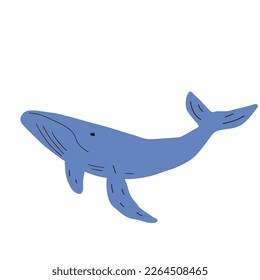 Whale, ocean aniaml. Sealife in Scandinavian style on a white background. Great for poster, card, apparel print. Vector illustration