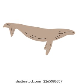 Whale, ocean aniaml. Sealife in Scandinavian style on a white background. Great for poster, card, apparel print. Vector illustration