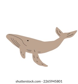 Whale, ocean aniaml. Sealife in Scandinavian style on a white background. Great for poster, card, apparel print. Vector illustration