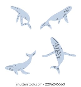 Whale, ocean aniaml. Sealife in Scandinavian style on a white background. Great for poster, card, apparel print. Vector illustration