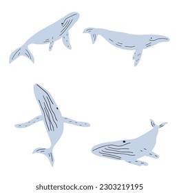 Whale, ocean aniaml. Sealife in Scandinavian style on a white background. Great for poster, card, apparel print. Vector illustration