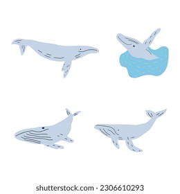 Whale, ocean aniaml. Sealife in Scandinavian style on a white background. Great for poster, card, apparel print. Vector illustration