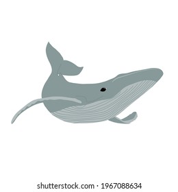 Whale. Ocean animal. Vector illustration.