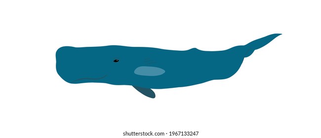 Whale. Ocean animal. Vector illustration.