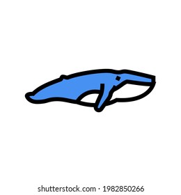 whale ocean color icon vector. whale ocean sign. isolated symbol illustration