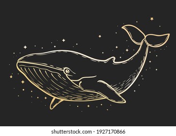 Whale on starry background. Vector illustration in vintage graphic style