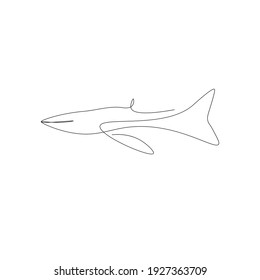 Whale on white background, vector illustration