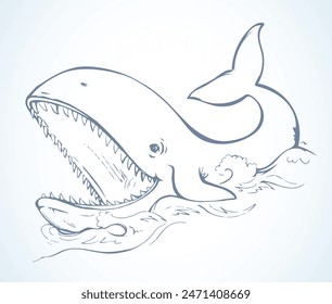 Whale with open mouth. Vector drawing