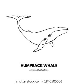 Wal-Umriss. Kontinuierliche Einzelleitung. Tierkontur. Lineares Logo
