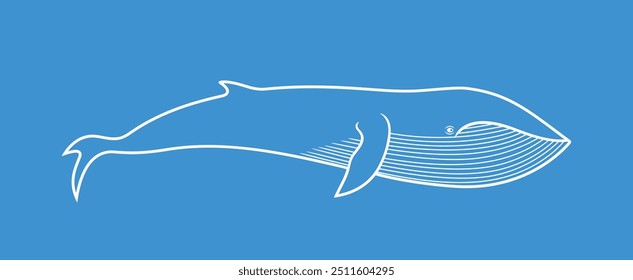 Whale outline. Isolated whale on white background