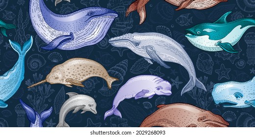 Whale pattern. Seamless vector sea whale illustration. Ocean animal background. Cute wallpaper. Marine watercolor print with underwater mammal fish algae. Water summer design texture. Sea seamless art