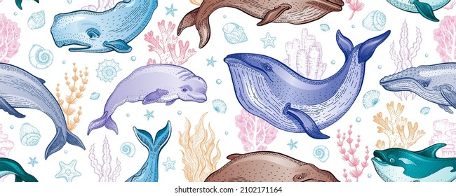 Whale pattern. Seamless vector sea whale illustration. Ocean animal background. Cute wallpaper. Marine watercolor print with underwater mammal fish algae. Water summer design texture. Sea seamless art