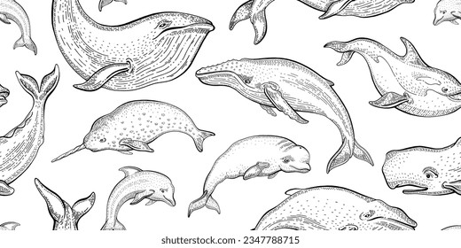 Whale pattern. Seamless vector sea whale illustration. Ocean animal background. Cute wallpaper. Marine watercolor print with underwater mammal fish algae. Water summer design texture. Sea seamless art