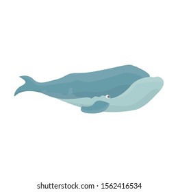 Whale right vector icon.Cartoon vector icon isolated on white background whale right.