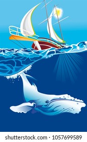 Whale in the sea 