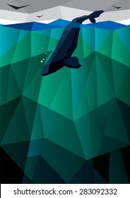 Whale in the sea