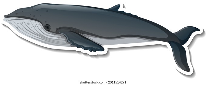 Whale sea animal cartoon sticker illustration