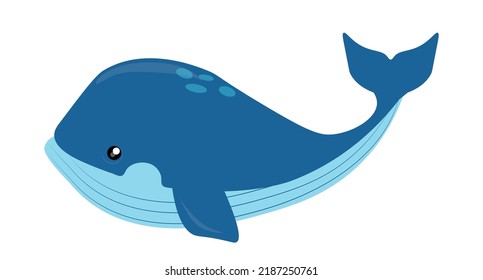 
Ilustración del vector submarino flotante de ballenas como animal marino.