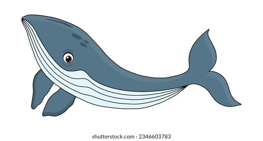 Whale Sea Animal Floating Underwater Flat Vector Illustration