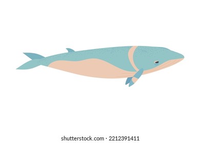 whale sea animal isolated icon flat