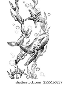 Whale, sea blue algae with leaves wriggling in wave with bubbles and coral starfish. Graphic illustration hand drawn in black ink underwater world. Seamless vertical border pattern for long projects