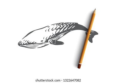 Whale, sea, underwater, wildlife, swim concept. Hand drawn whale in the ocean concept sketch. Isolated vector illustration.