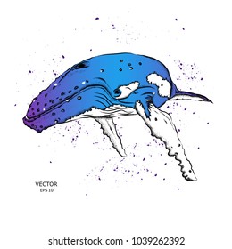 whale in the sea. vector illustration