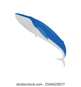 Whale Seafood Vector Illustration, Isolated