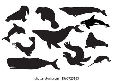 Whale and seal silhouette vector illustration. Set of marine mammals. Ocean animals: killer, blue, sperm and humpback whale, walrus, seal, narwhal, dolphin, manatee, leopard seal.