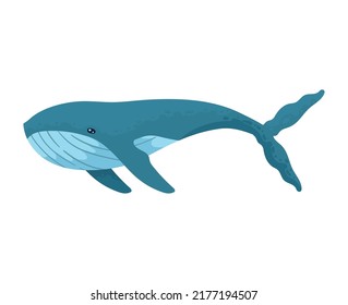 whale sealife animal fauna character